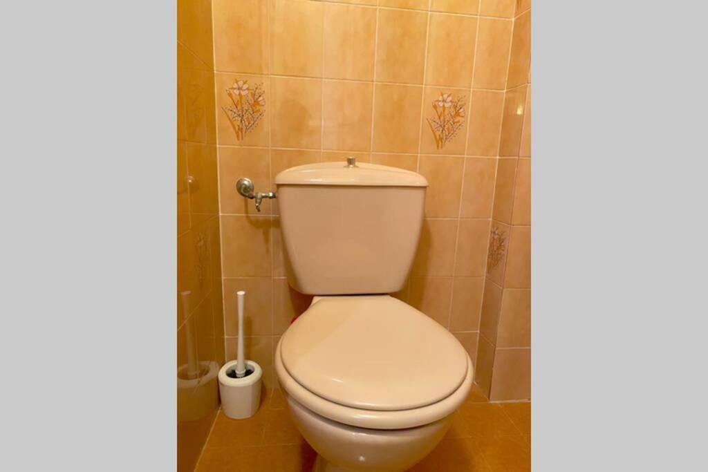 Spacieux T3 Au Centre Ville D'Ajaccio アジャクシオ エクステリア 写真
